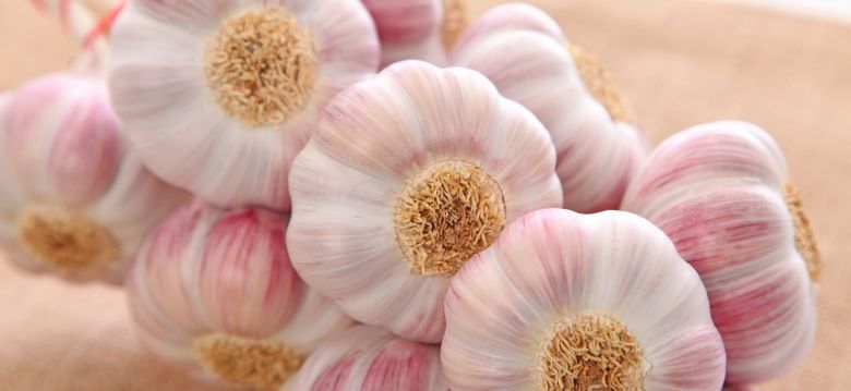 Ferme de la Trappe Basse