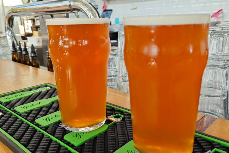 Brasserie de la Halle