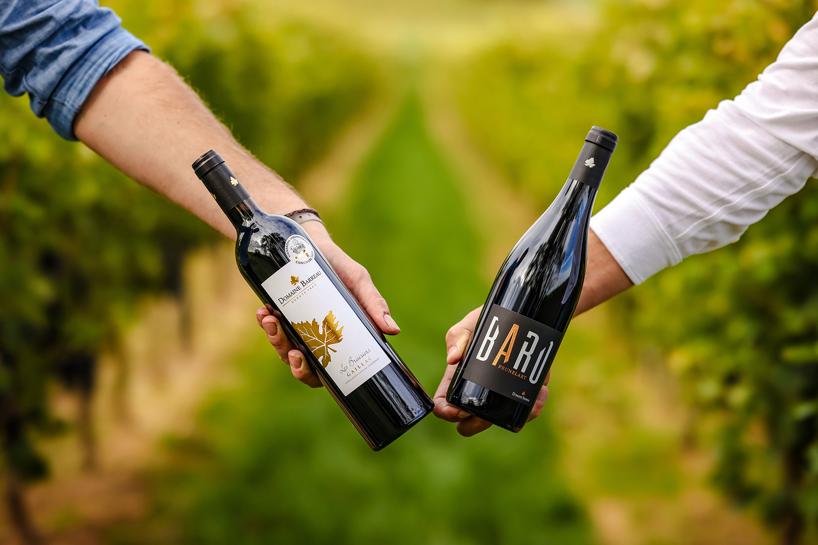 Domaine Barreau