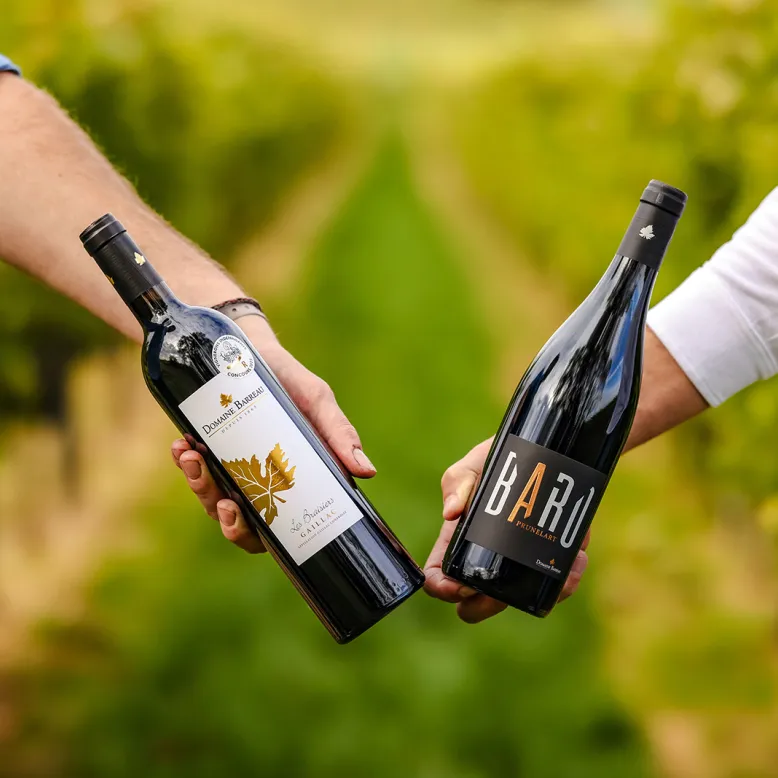Domaine Barreau