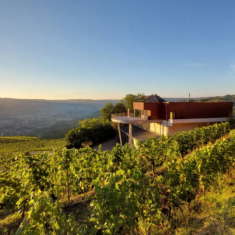 Domaine du Cros