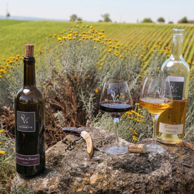 Domaine Vayssette - Visits to a typical Gaillac vineyard open all year round