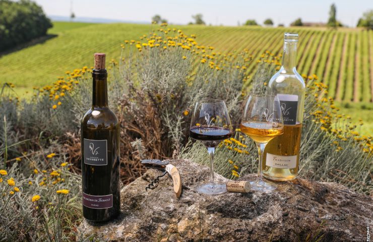 Domaine Vayssette