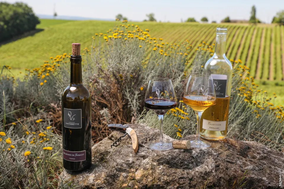 Domaine Vayssette