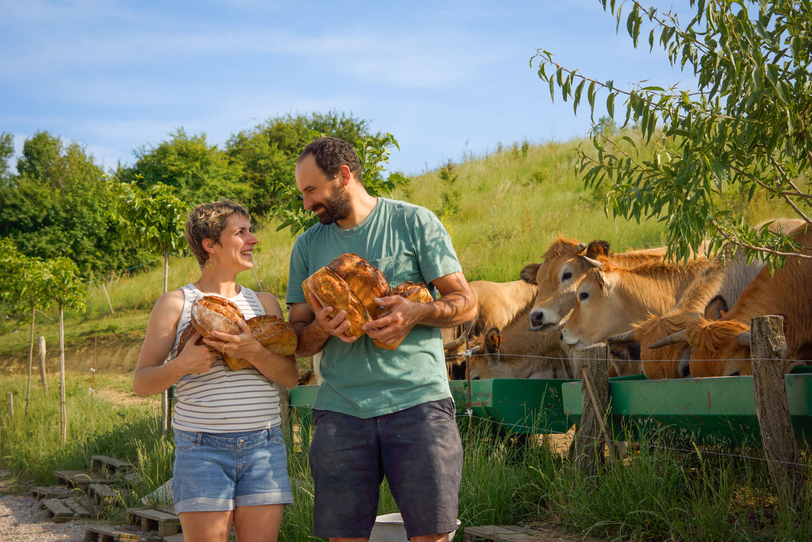Des Graines dans le Vent - Sourdough bread and organic pastries in Puylaurens