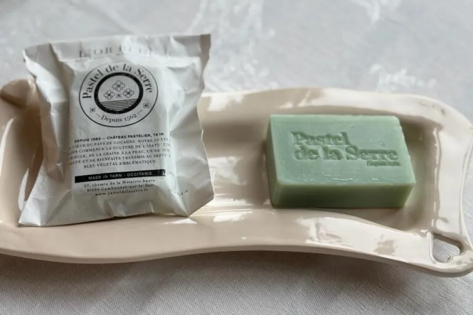 Pastel de La Serre