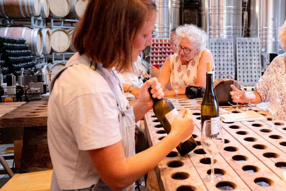 Domaine de Cantalauze