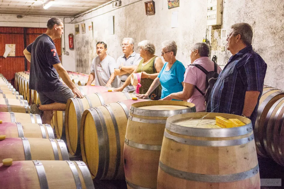 Domaine Vayssette