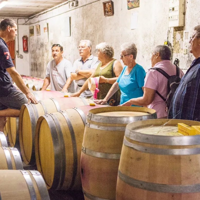 Domaine Vayssette