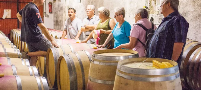 Domaine Vayssette