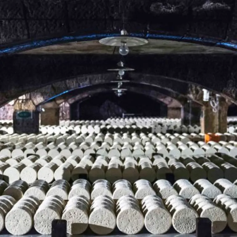 Road trip enthusiasts: the cheese route in Ave ...
