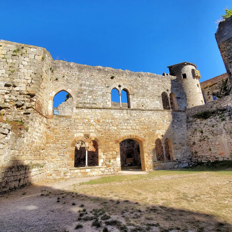The sensational history of the castles of Brun ...