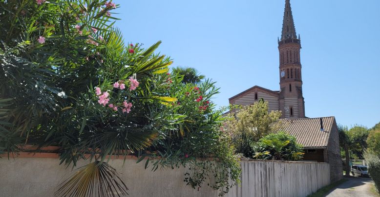 Grisolles, the amazing broom capital!