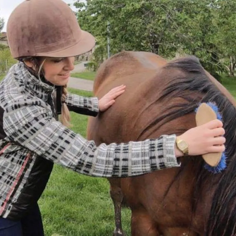 Randonnée à cheval en Quercy Pays de Serres : ...