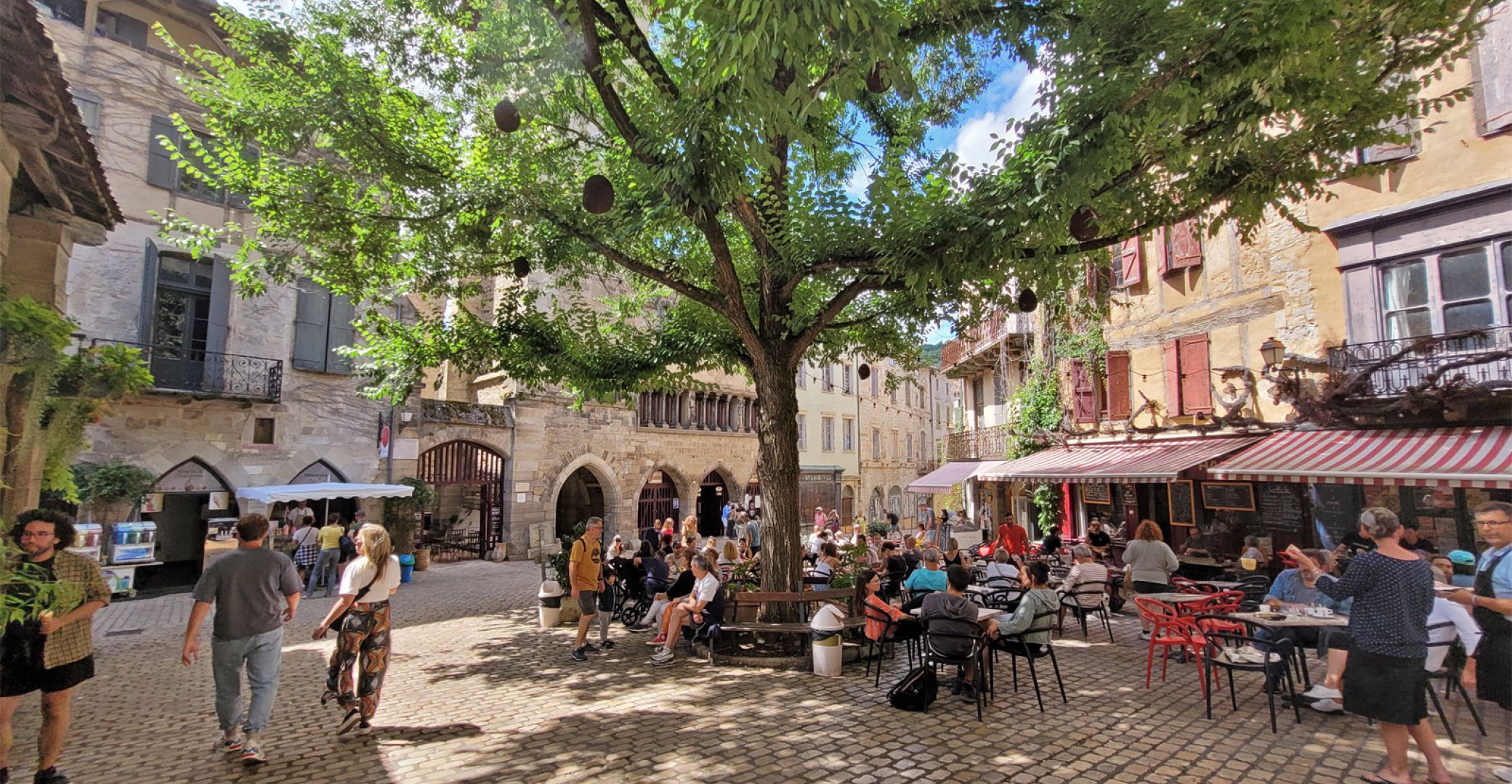 Le Tarn Aveyron au ci ... Le Tarn Aveyron au ci ...