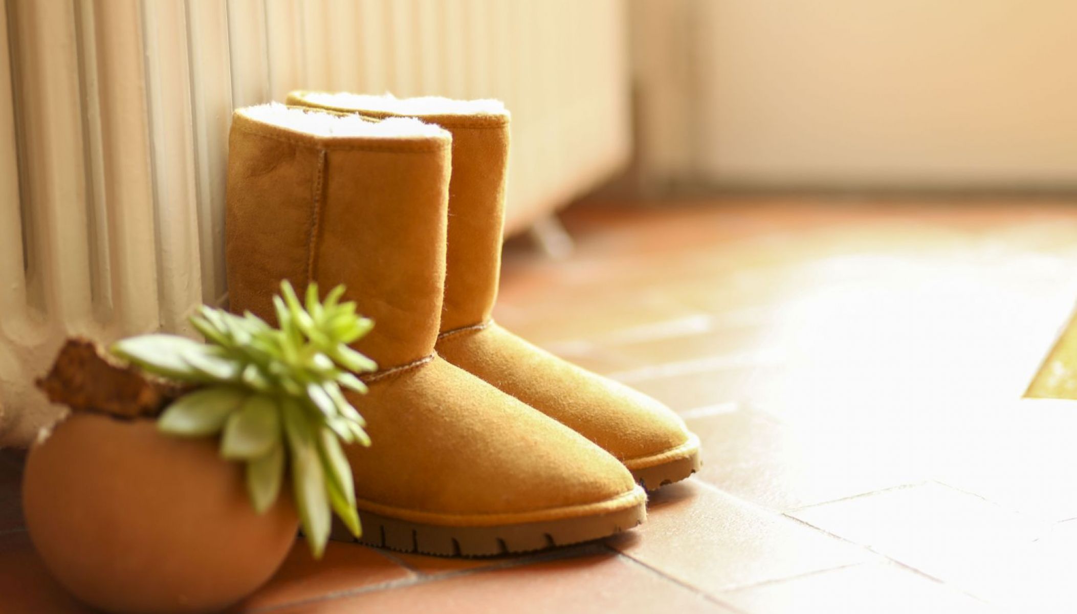 Dgrandiose, the incomparable comfort of sheepskin items in the Tarn