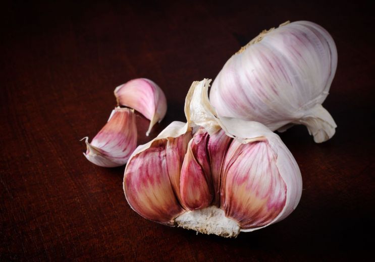 L’Ail Rose de Lautrec, la vedette des assiette ...