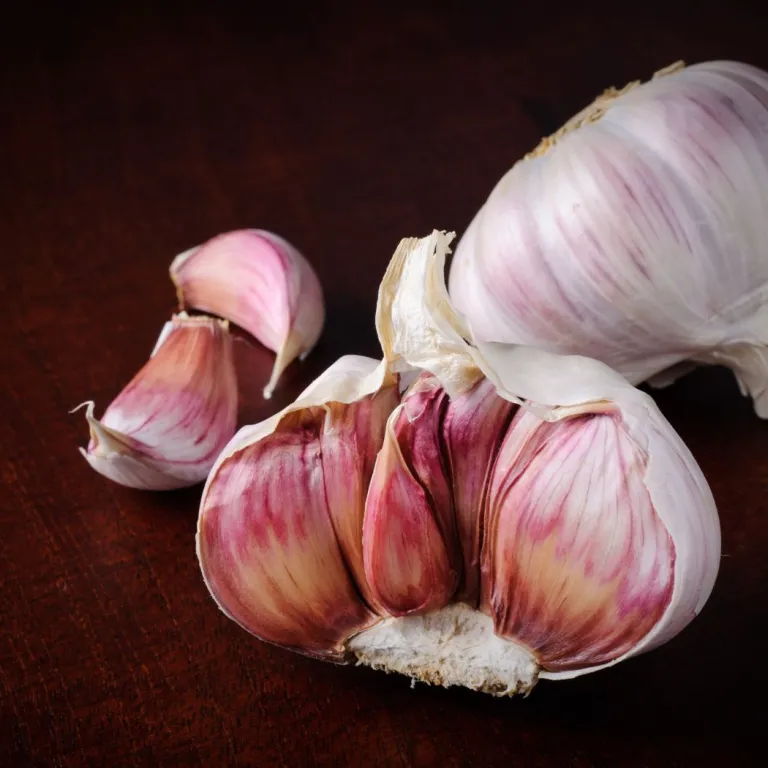 Lautrec Pink Garlic, the star of Tarn dishes