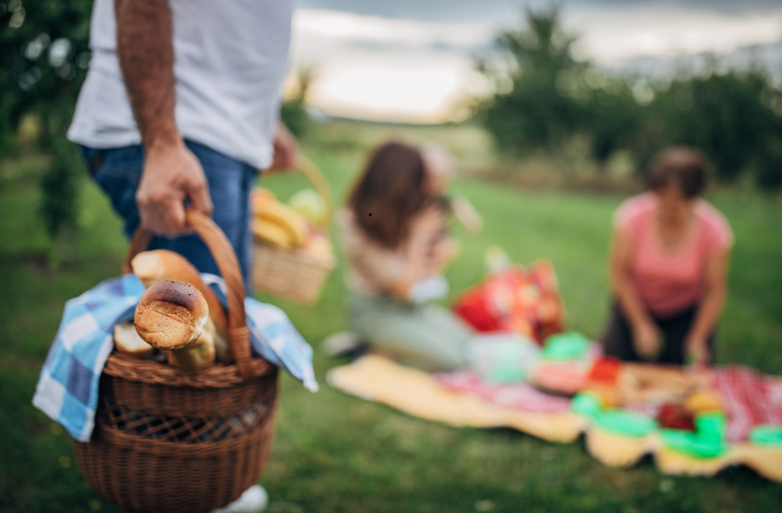 Picnic areas in Aveyron: the best spots for a gourmet getaway