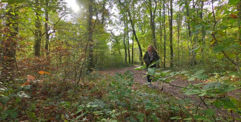 Balade d’automne dans Montech et sa forêt