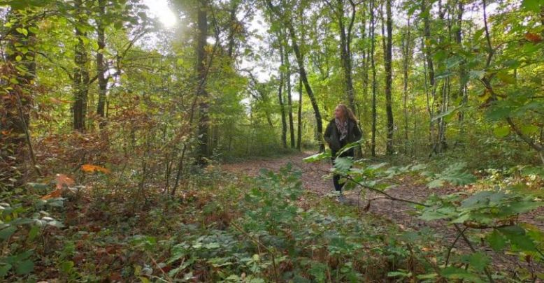 Autumn walk in Montech and its forest