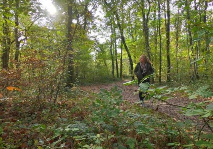 Balade d’automne dans Montech et sa forêt