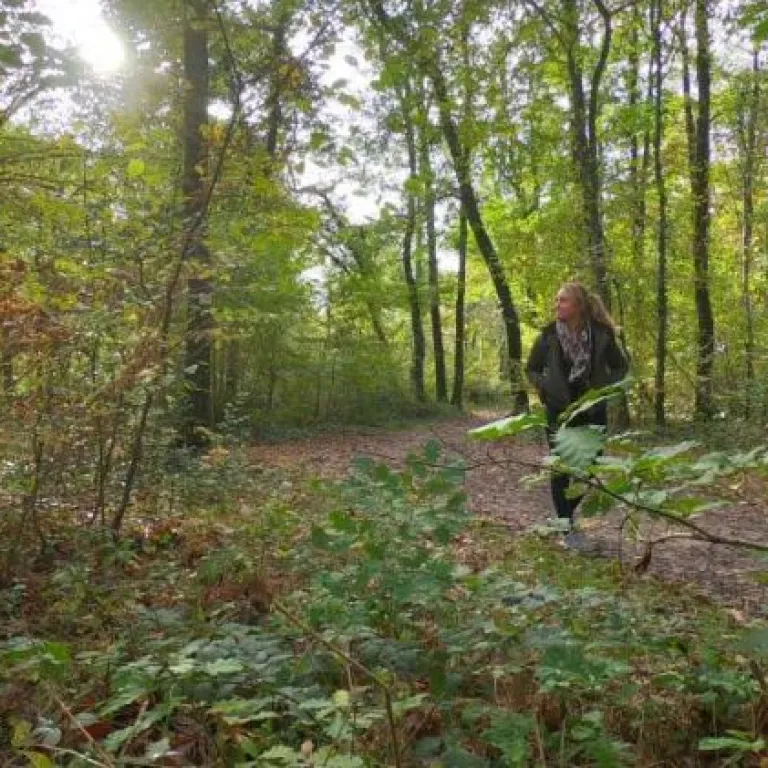 Autumn stroll in Montech and its forest