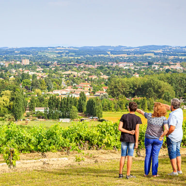 Atypical stay in the Gaillac vineyard: tasting ...