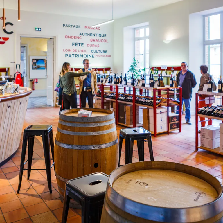 Discover the wines of Gaillac and the vineyard ...