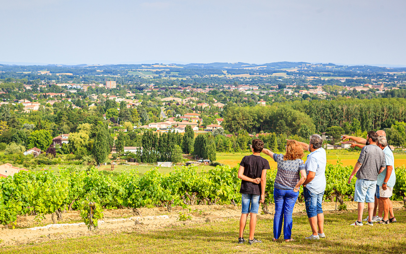 Atypical stay in the Gaillac vineyards: tastin ...