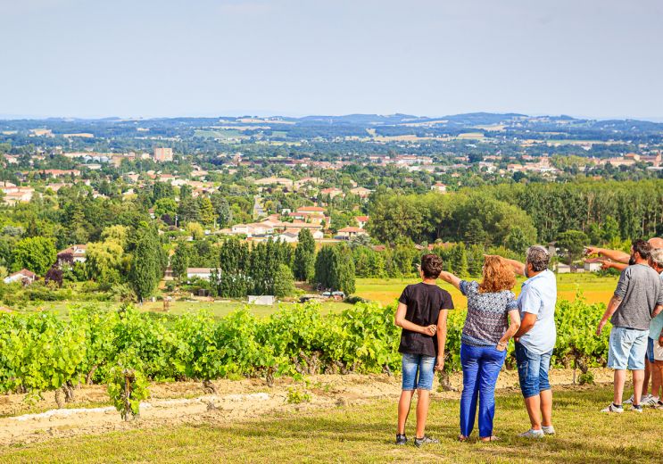 Atypical stay in the Gaillac vineyards: tastin ...