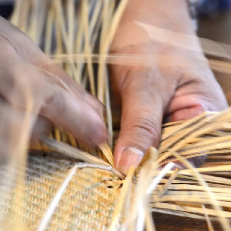Crafts and discovering old trades in Tarn-et-G ...