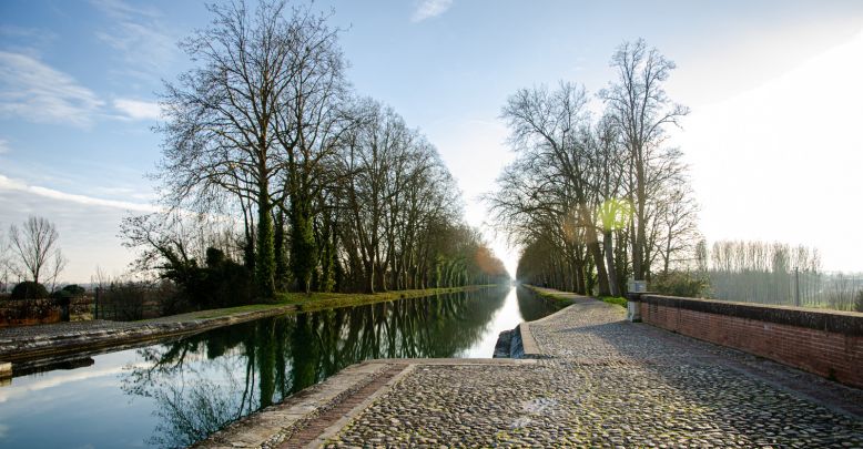 What to do in Tarn-et-Garonne?