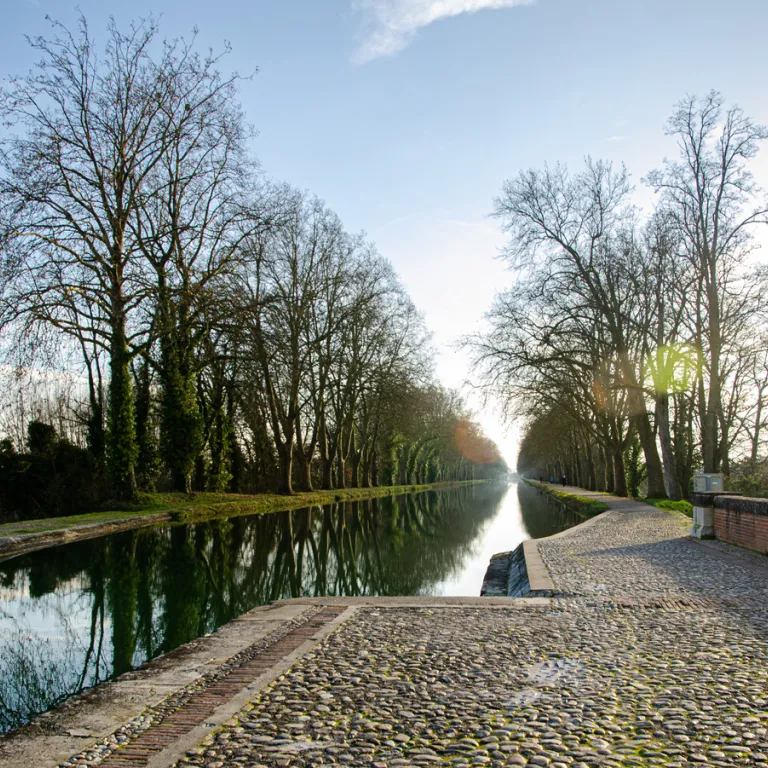 What to do in winter in Tarn-et-Garonne?