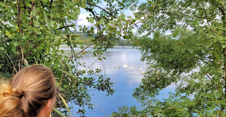 Saint-Nicolas-de-la-Grave : La réserve ornitho ...