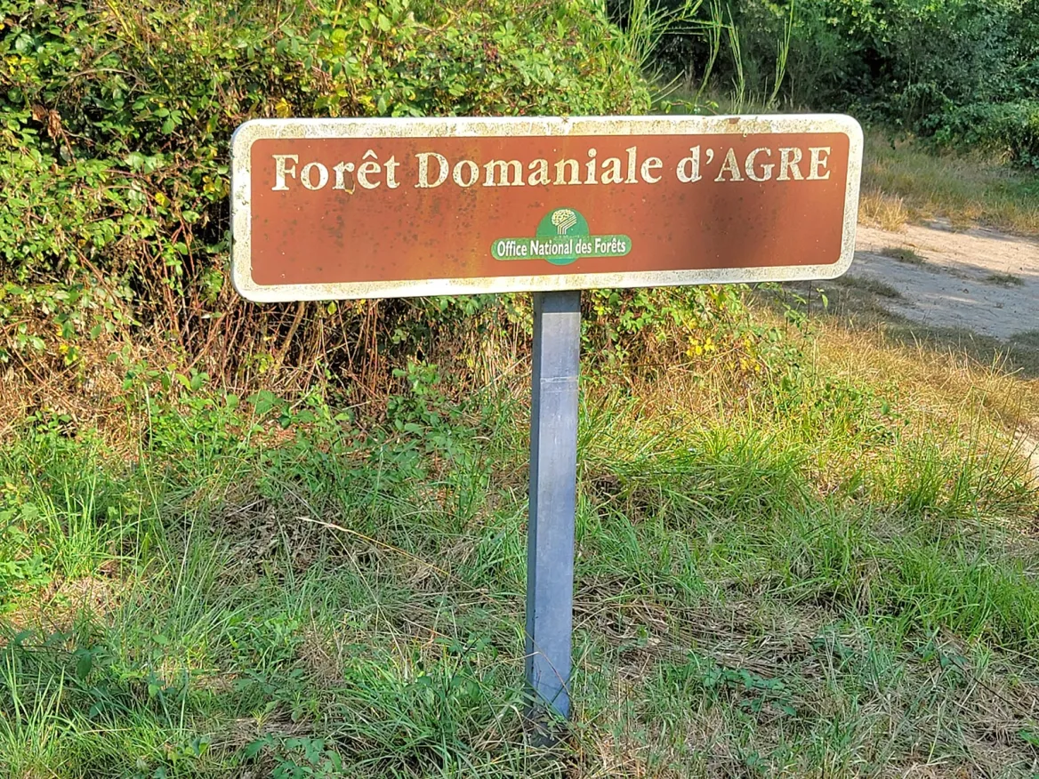 The forest of Agre