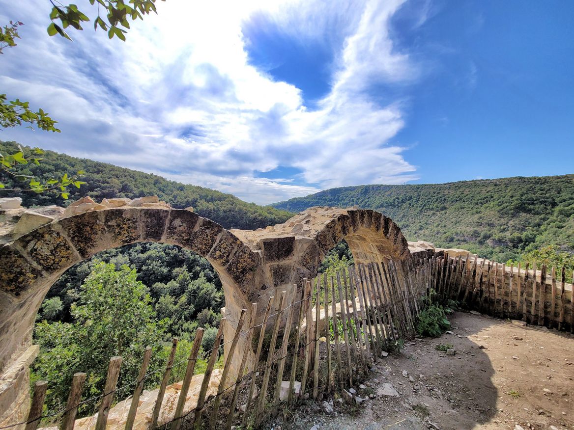 La forêt de Grésigne