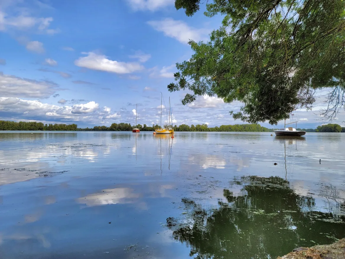 Un environnement verdoyant
