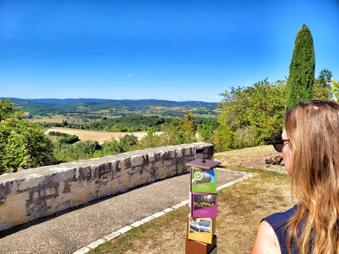 A breathtaking green panorama