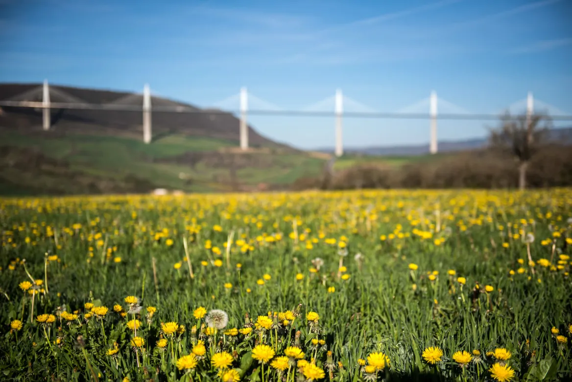 Millau - Photo © Guide Tarn Aveyron