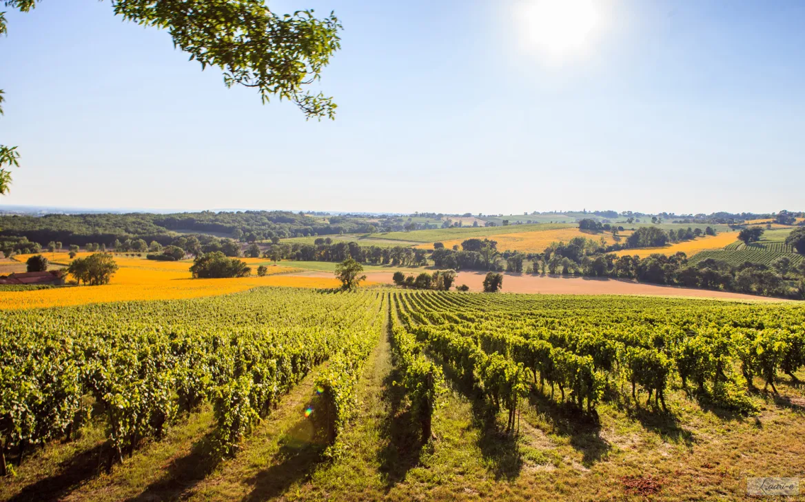 The Gaillac vineyard Photo: Interprofession des Vins de Gaillac
