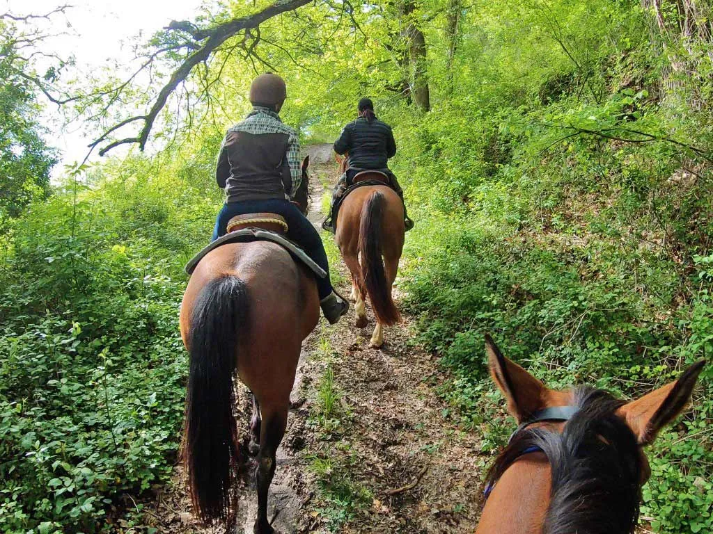 Randonnée à Cheval Quercy