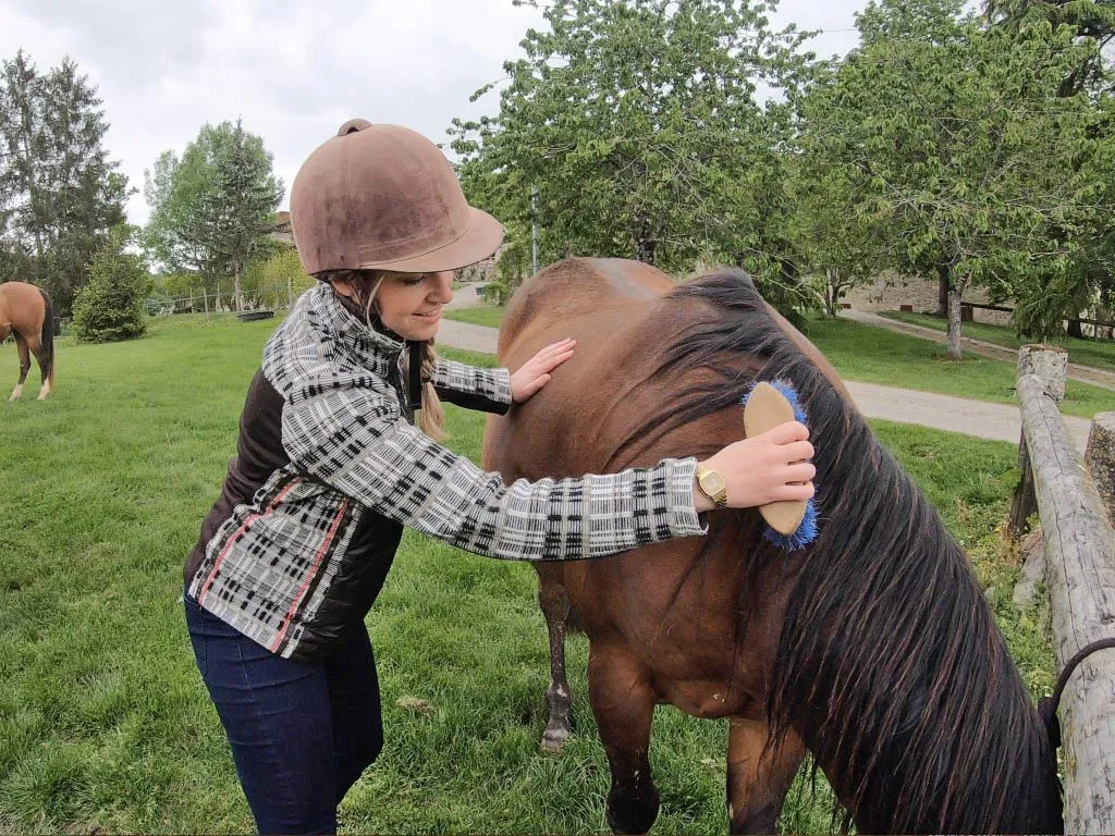 Brosser le cheval