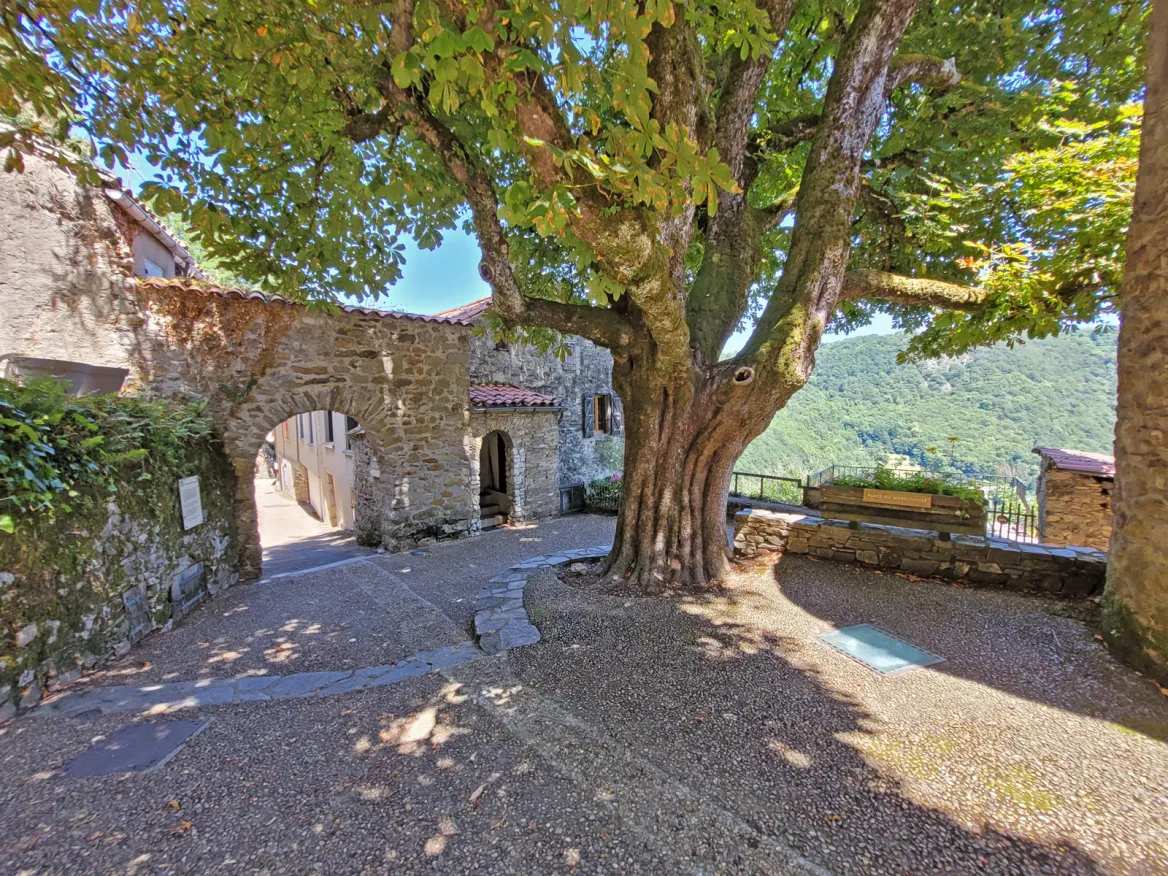 Hautpoul