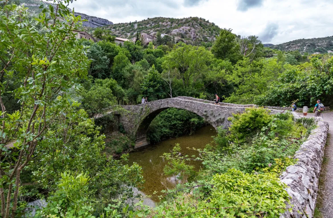 the Tarn in summer