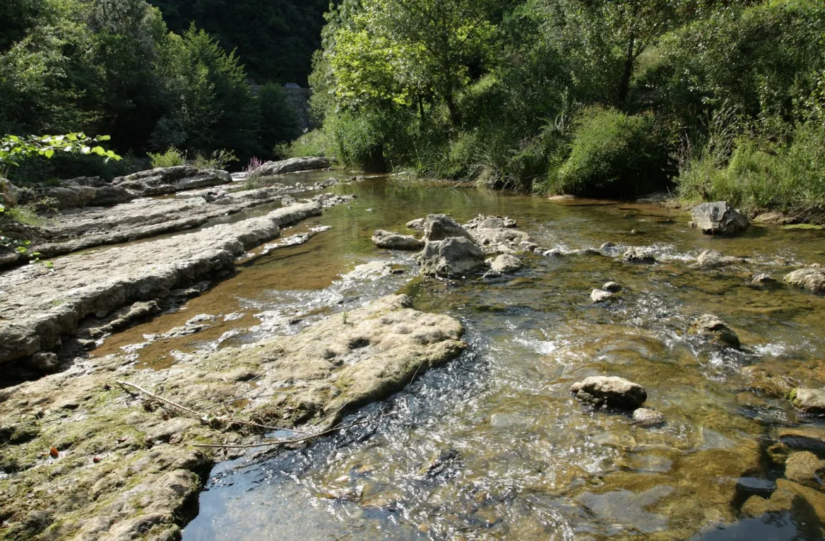 the Tarn in summer