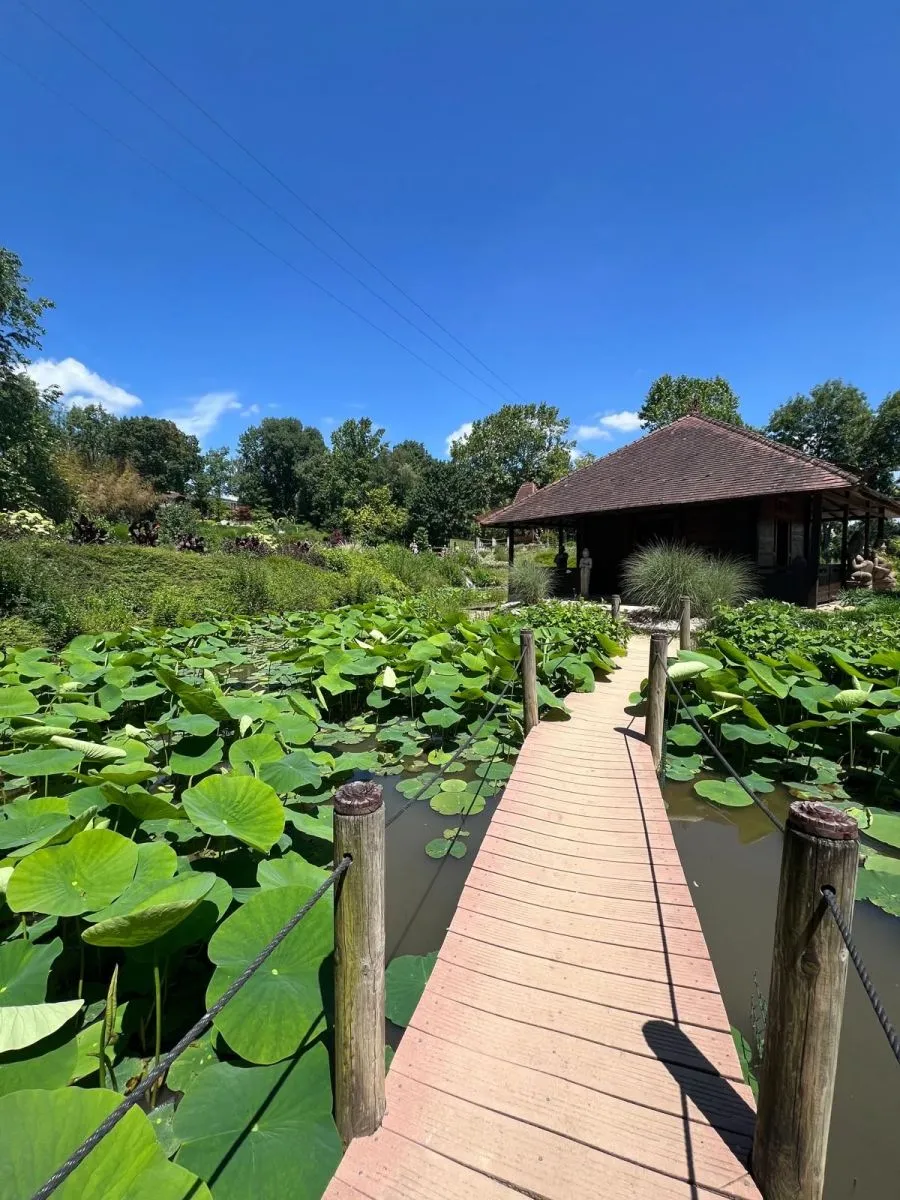 Martelles Garden