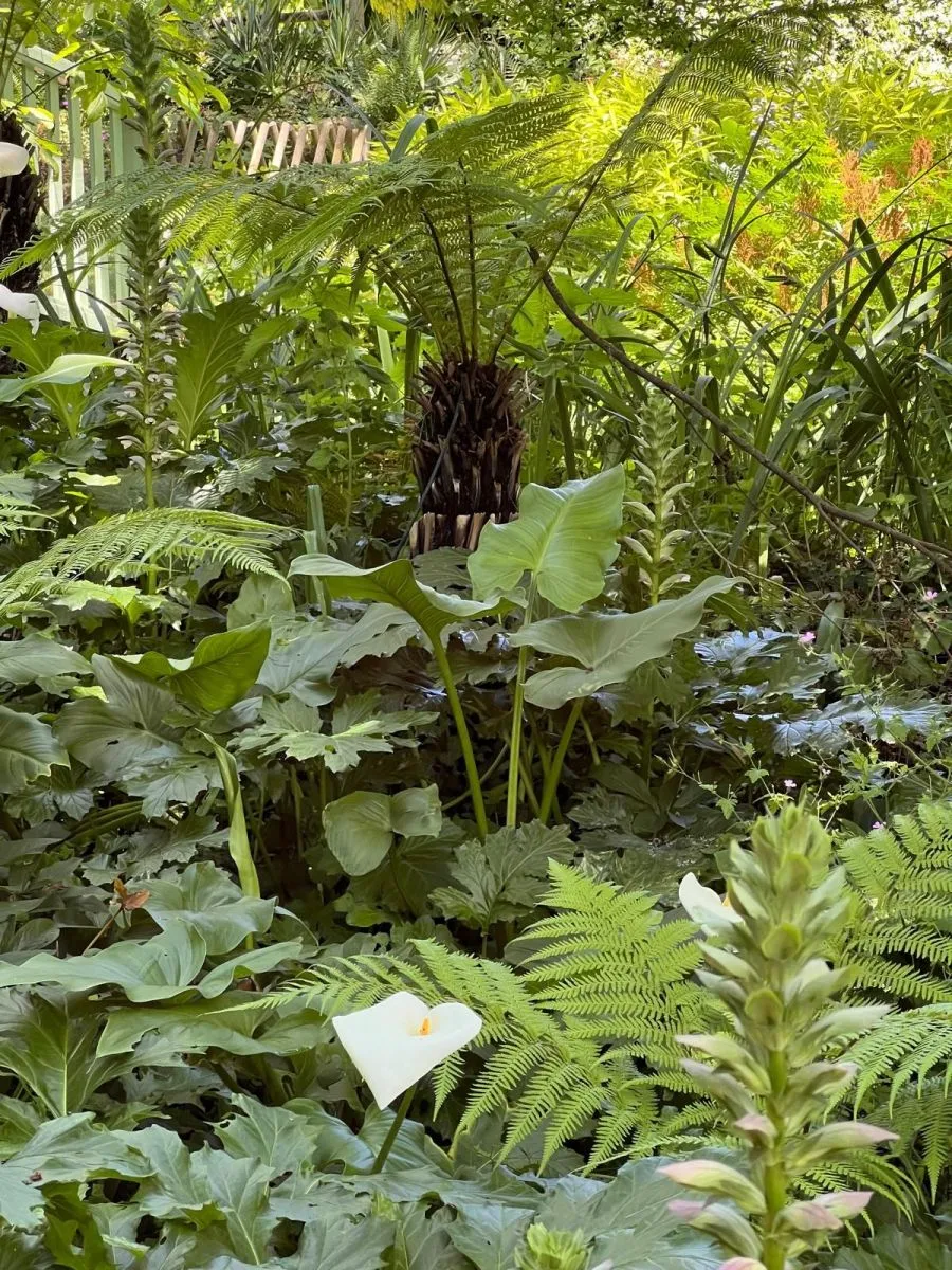 Martelles Garden