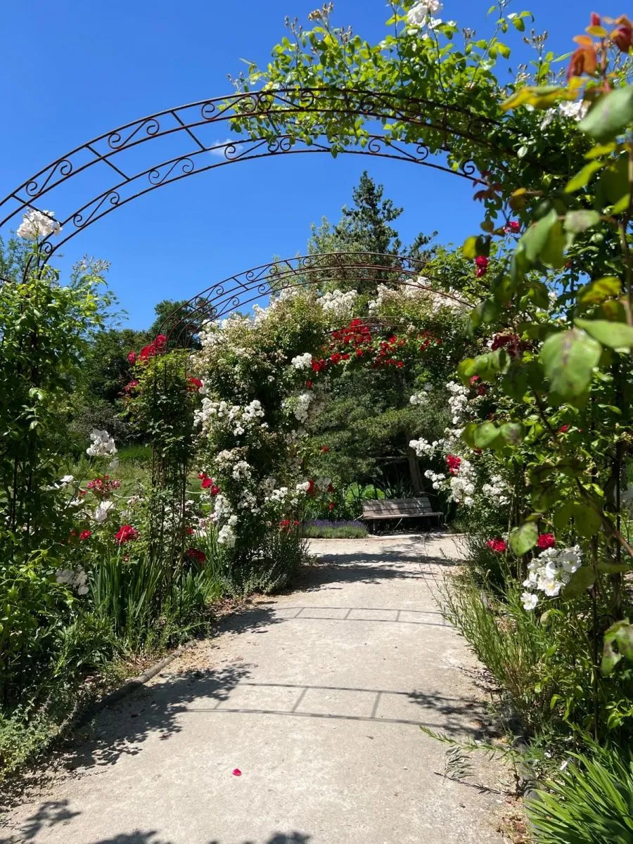 Martelles Garden
