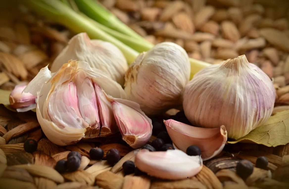 pink garlic from Lautrec